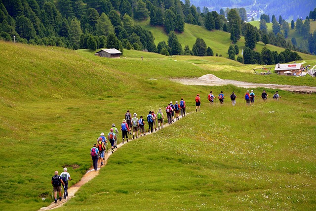 Group hiking through a lush mountain trail, enjoying nature's beauty